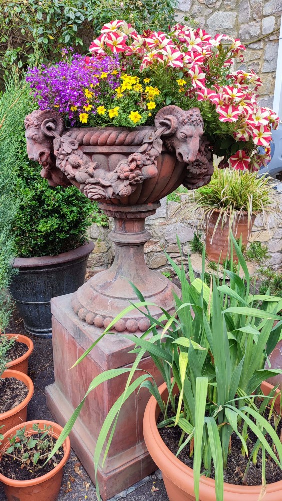 Klassischer Terrakotta-Gartenurnen-Regency-Pflanzer mit Widderkopf